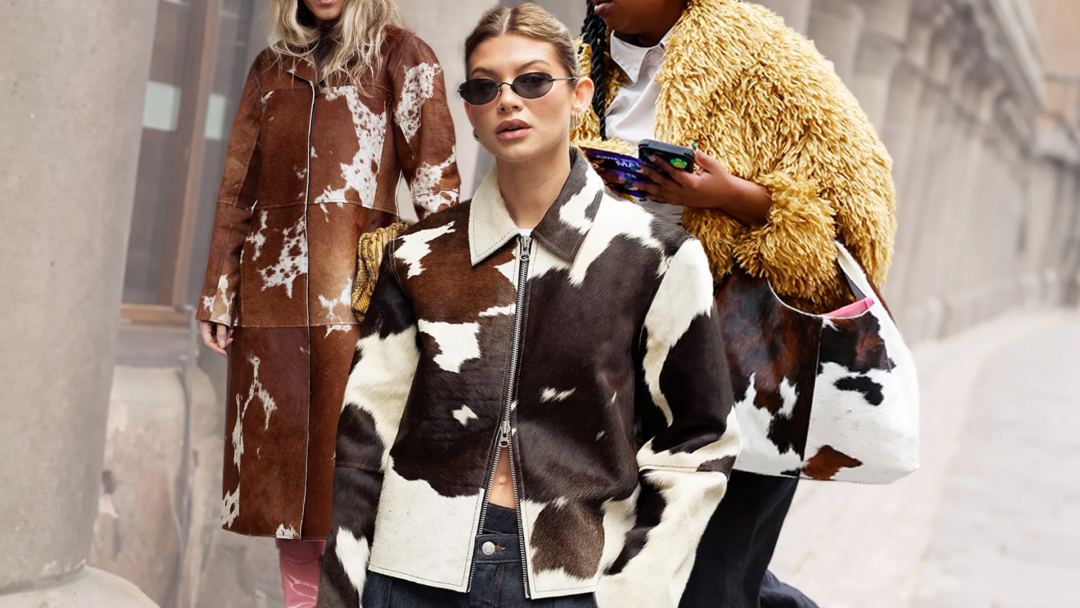 Vaca Con Ropa Estampa de vaca: a tendência fashion que vai transformar seu guarda ...